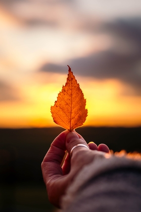 秋天唯美非主流锁屏壁纸图片